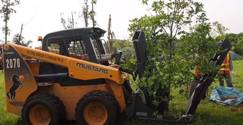 how to relocate trees with a machinery